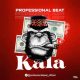 Free Beat: Professional - Kala (Instrumental)