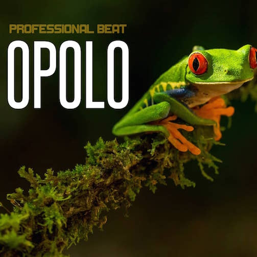 Free Beat Professional - Opolo