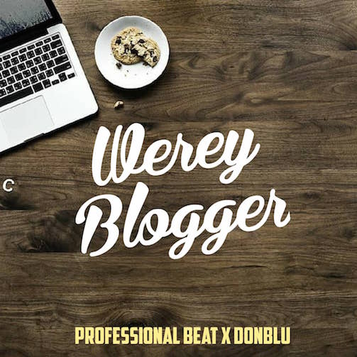 Free Beat Professional - Werey Blogger Ft. Donblu