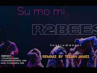 R2bees - Su Mo Mi (Instrumental)