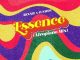 Rexxie – Essence (Afropiano Mix) ft Funwon