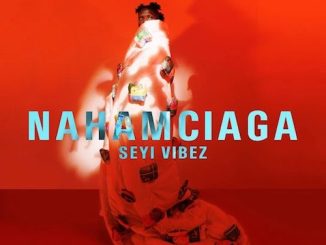 Video: Seyi Vibez - Cana