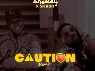 Shoday – Caution (Remix) Ft. Skiibii