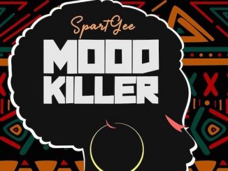 SpartGee - Mood Killer