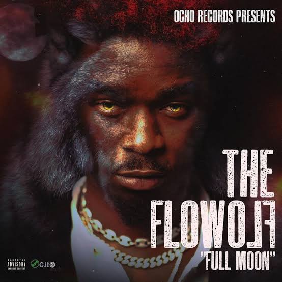 The Flowolf – Questions