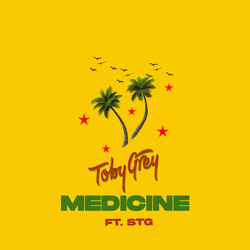 Toby Grey Ft. STG - Medicine (Dancehall Refix)