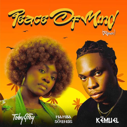 Toby Grey - Peace of Mind (Remix) Ft. Kemuel & Mamba Sounds