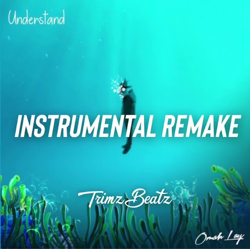 Trimz Beatz - Omah Lay (Understand) Instrumental