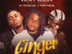 Vicky Reign - Ginger Ft. Portable & DJ YK