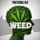 Free Beat: Professional Beat - Weed (Instrumental)