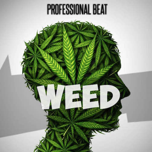 Professional Beat - Weed (Instrumental)