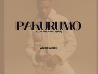 Wizkid x Kush - Pakurumo (Ku3h Amapiano Remix)