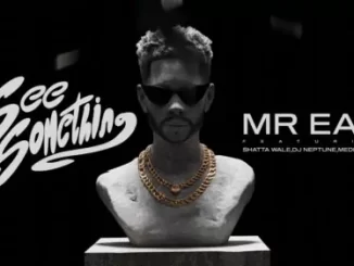 Mr Eazi – See Something ft. Shatta Wale, DJ Neptune, Medikal & Minz