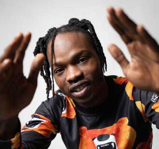 Airline Suspended For Flying Naira Marley & Co. From Lagos To Abuja